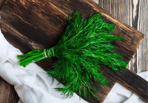 Cây giống thì là thuần hữu cơ tại Green Seedling