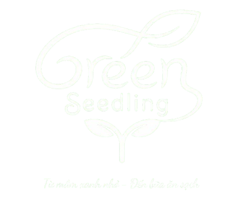 Banner slogan Green Seedling từ mầm xanh nhỏ đến bữa ăn sạch