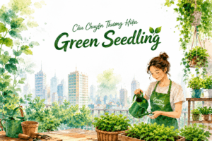 Câu chuyện thương hiệu Green Seedling – Khởi nguồn từ giấc mơ mang cả khu vườn vào lòng phố thị