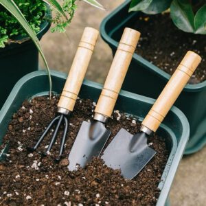 Bộ Dụng Cụ Trồng Cây 3 Món Cán Gỗ Mini Chính Hãng Giá Tốt